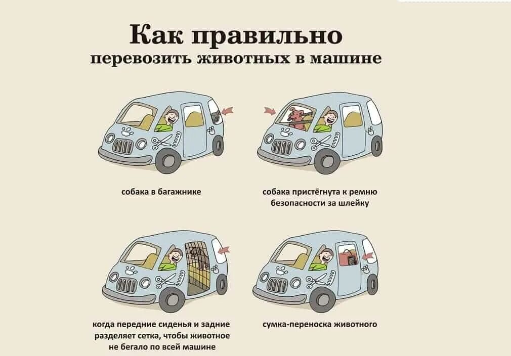 Правила перевозки животных. Параллельная парковка схема выполнения с машинами. Подготовка авто к летнему сезону. Советы автолюбителям. Последовательность подключения проводов для прикуривания.