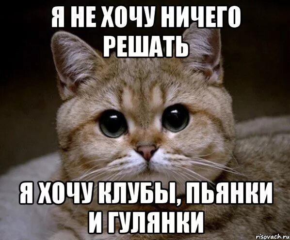 Ничего я не хочу 2025. Ничего я не хочу. ничего не хочу фото. хочу - не хочу!. хочу в клуб.