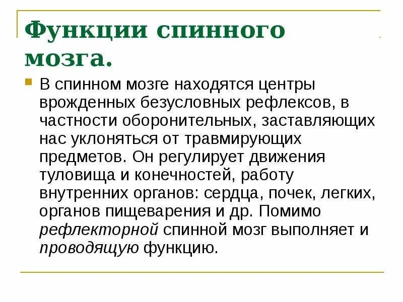 Какие 2 функции выполняет спинной мозг. Функции спинного мозга человека. Функции спинного мозга 8 класс. Таблица функции спинного мозга 8 класс. Спинной мозг презентация 8 класс.