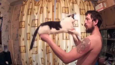 Котом дремотом