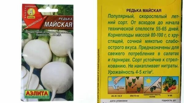 С какого возраста можно редьку ребенку