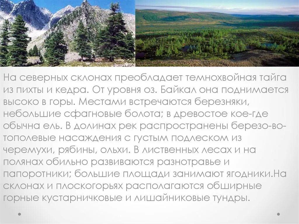 Байкальский заповедник цель заповедника цель. Байкальский заповедник кратко. Байкальский заповедник площадь. Байкальский заповедник доклад 4 класс. Презентация на тему байкальский заповедник.