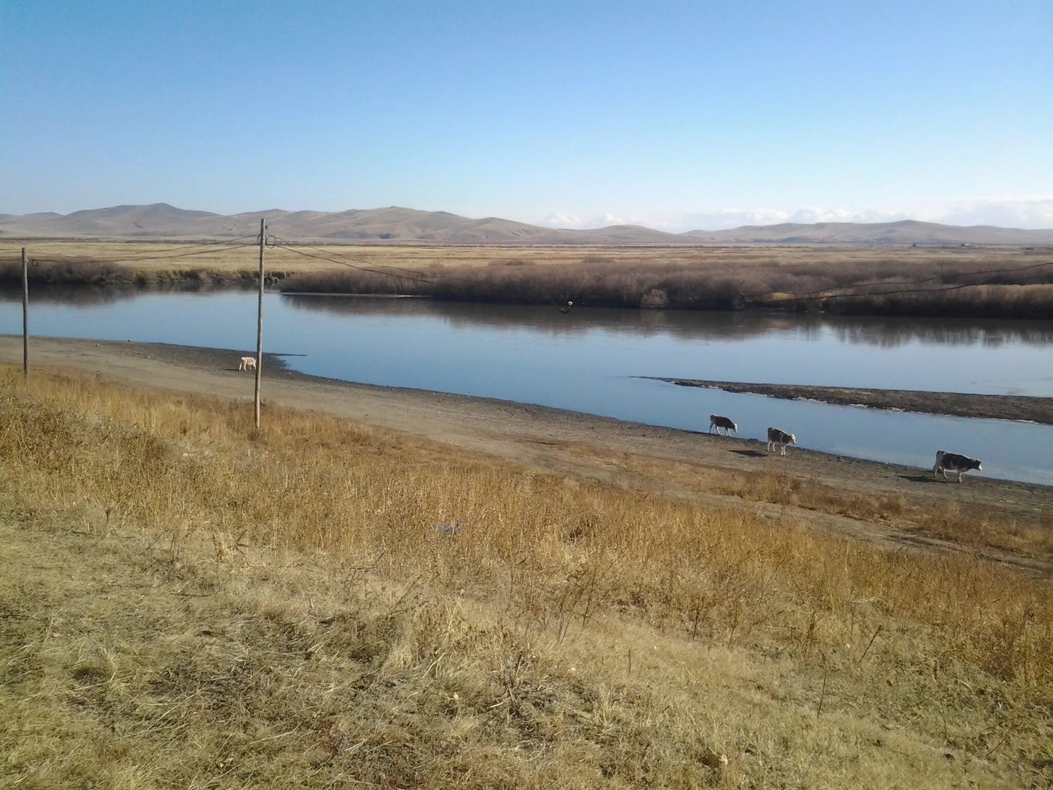 Мангут. Село Хара Бырка Забайкальский край. Аргунь Приаргунск. Река Аргунь в Забайкальском крае. Река Аргунь Приаргунск.