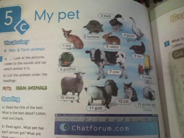 Английский 5 класс описать животных. Spotlight 5 учебник. Животные с учебниками. Пособие по английскому 5 класс. Английский учебник 5 класс страница 70.