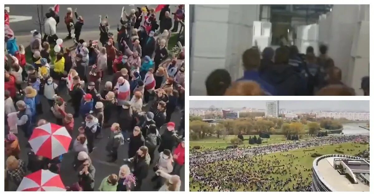 Профсоюзы в аргентине. Фотография женской забастовки в чикаго презентация. Вдиэй американская организация fbl. Протесты во франции. Женские марши в аргентине.