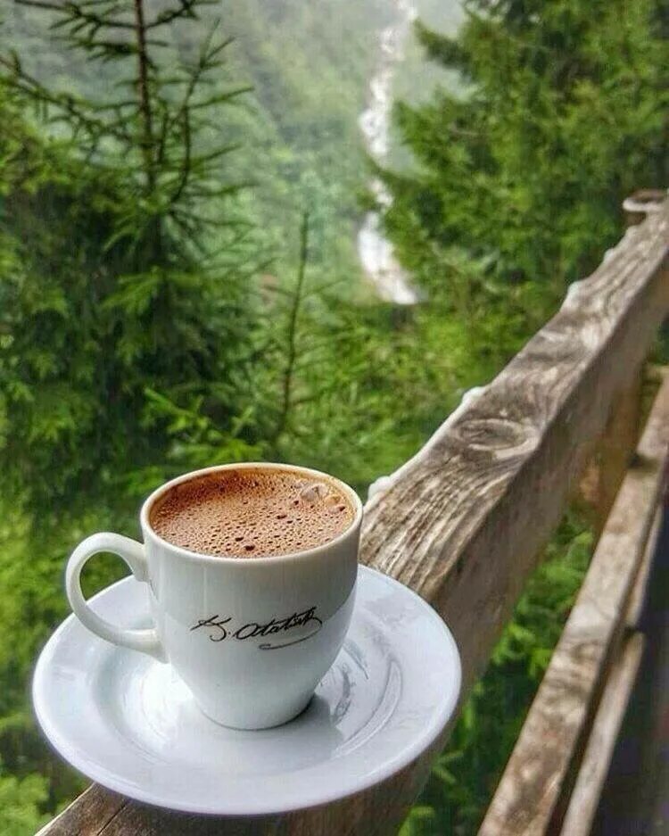 Открытка доброе утро лес. Утро кофе. Доброе утро кофе. С добрым утром с кофе и пожеланием.