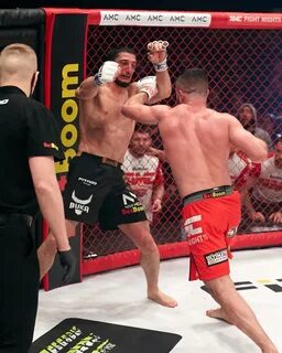 Fight night 236