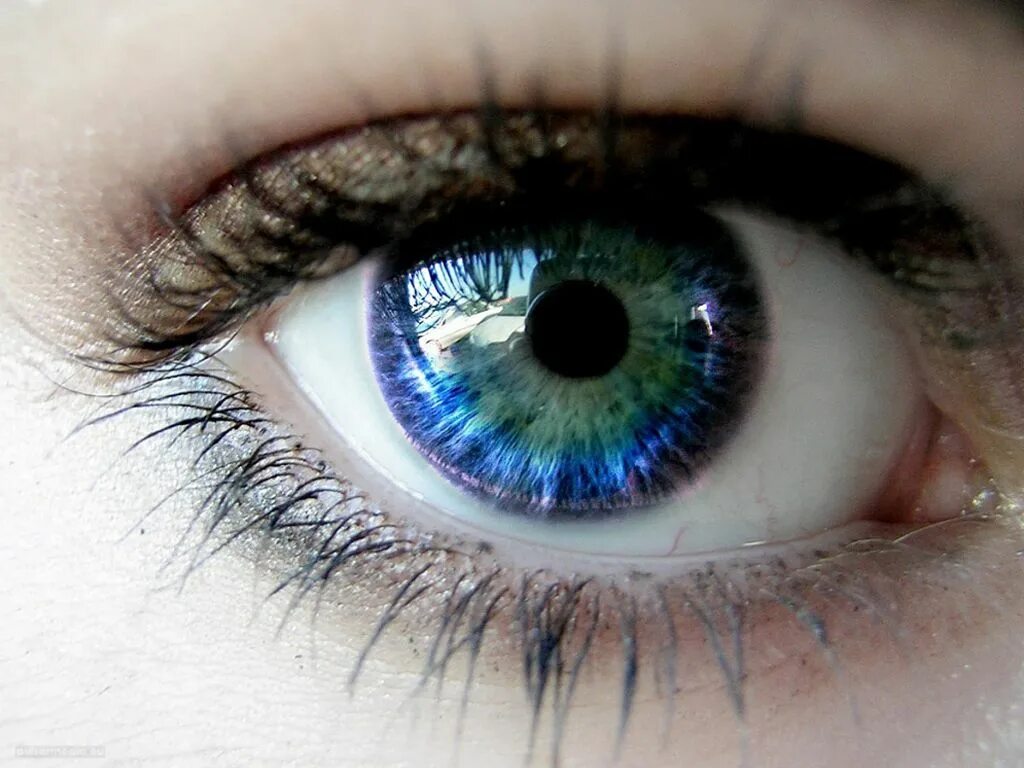 Eye of my eye