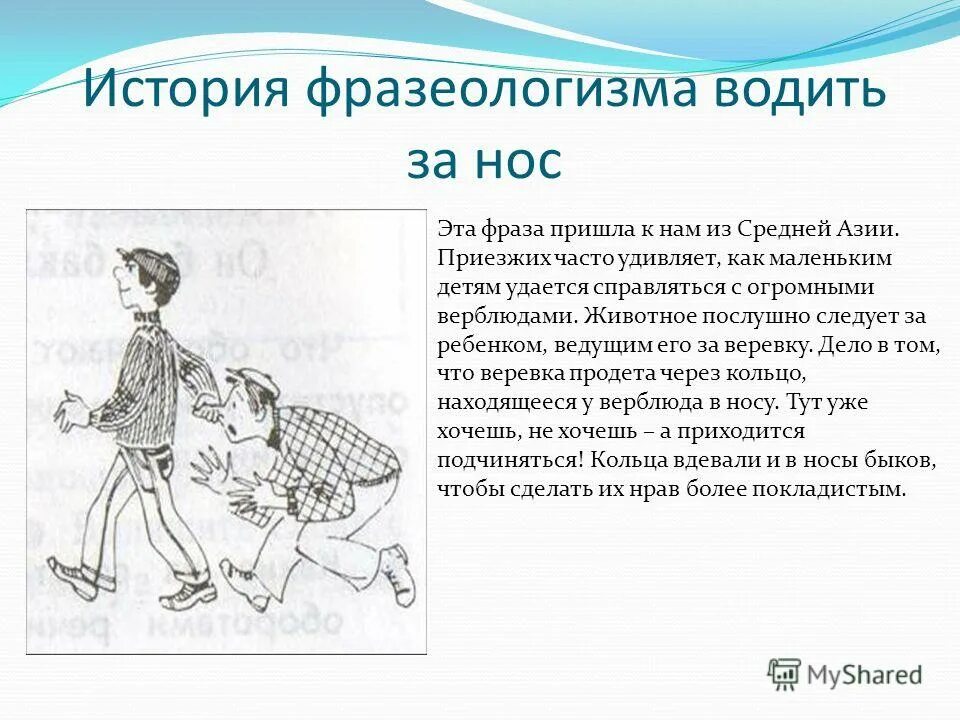 Рассказ как появилась. История фразеологизма водить за нос. Рассказ с фразеологизмами. История одного фразеологизма. История фразеологизма.