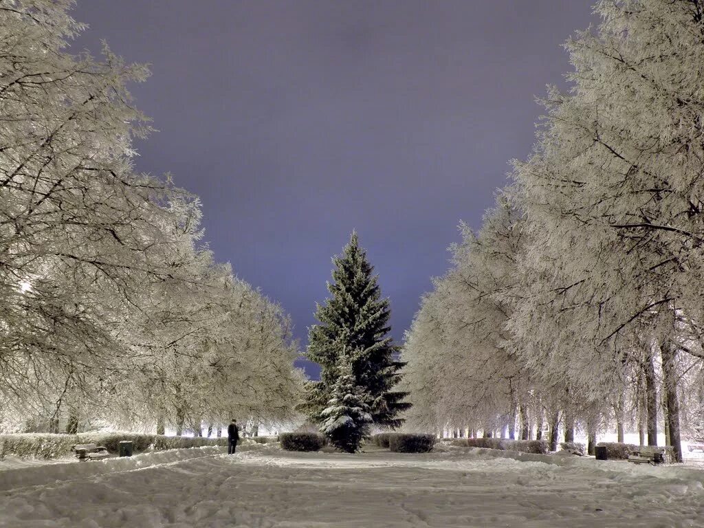 зимний новомосковск тульской области. природа новомосковска тульской области. зимний новомосковск тульская область. новомосковск город тульская область зима. новомосковск зима.