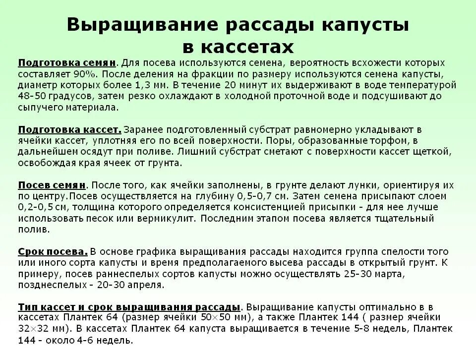 Когда сеять раннюю капусту в 2024 году. Сроки посадки капусты на рассаду. Сроки посадки семян капусты на рассаду. Сроки высева семян на рассаду. Сроки посева цветной капусты на рассаду.