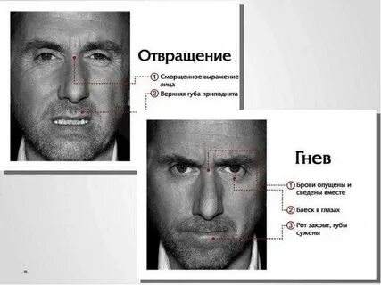 Как называют лицо