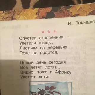 Улетели птицы листьям на деревьях