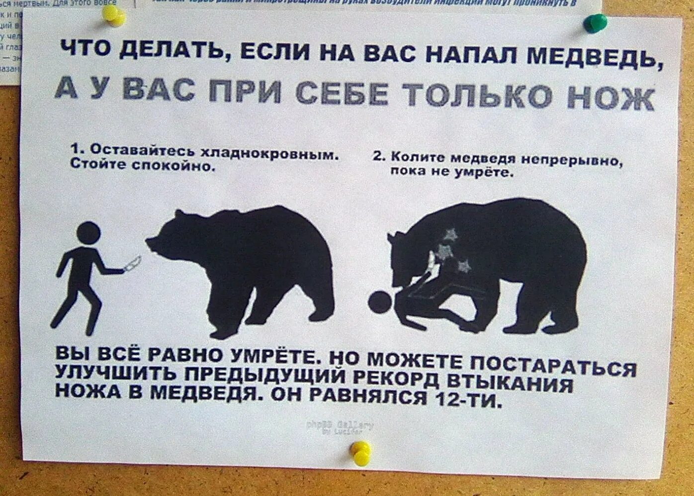 Нападает что значит. Укус гадюки обыкновенной. Доклад что делать если на тебя напали. Если вас критикуют значит вы на правильном. Агрессивные слова.