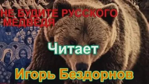 Песня не будите медведя