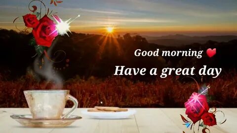 Videos morning