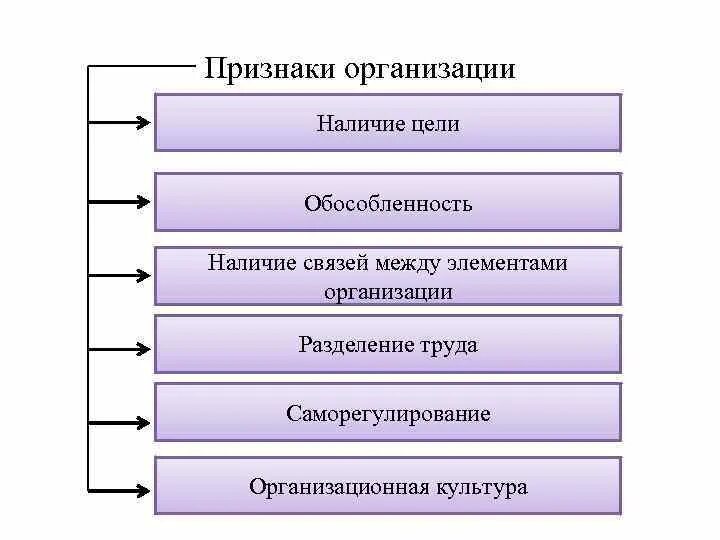 Укажите что относится к признакам организации. Обязательные признаки организации в менеджменте. Основные признаки организации в менеджменте. Назовите обязательные признаки организации менеджмента. К основным признакам организации относятся.