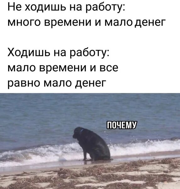 Не вижу смысла работать. Я не вижу смысла. не вижу смысла в жизни. я не вижу смысла заморачиваться. не вижу смысла общаться.