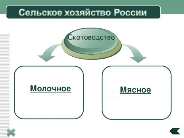 Миллион локомобилей в Царской России Савецкая Беларусь Дзен