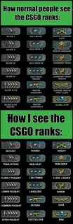 Когда в cs go ввели систему званий