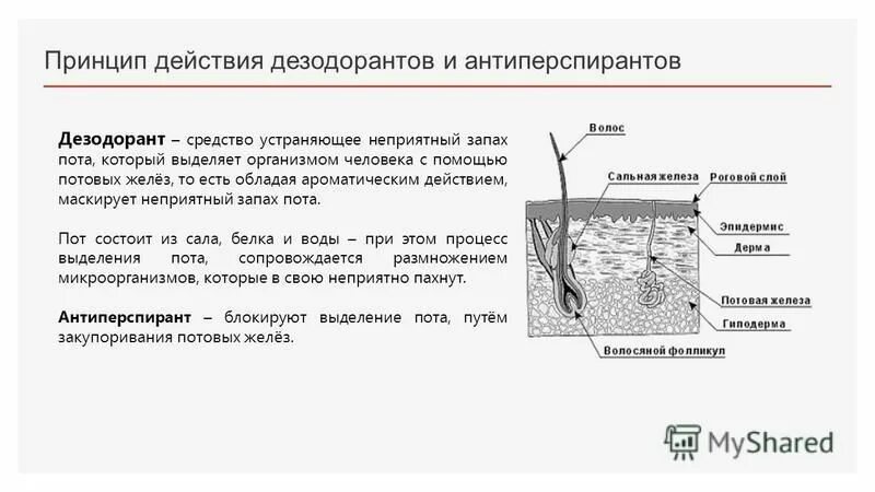 Неприятный запах полового члена