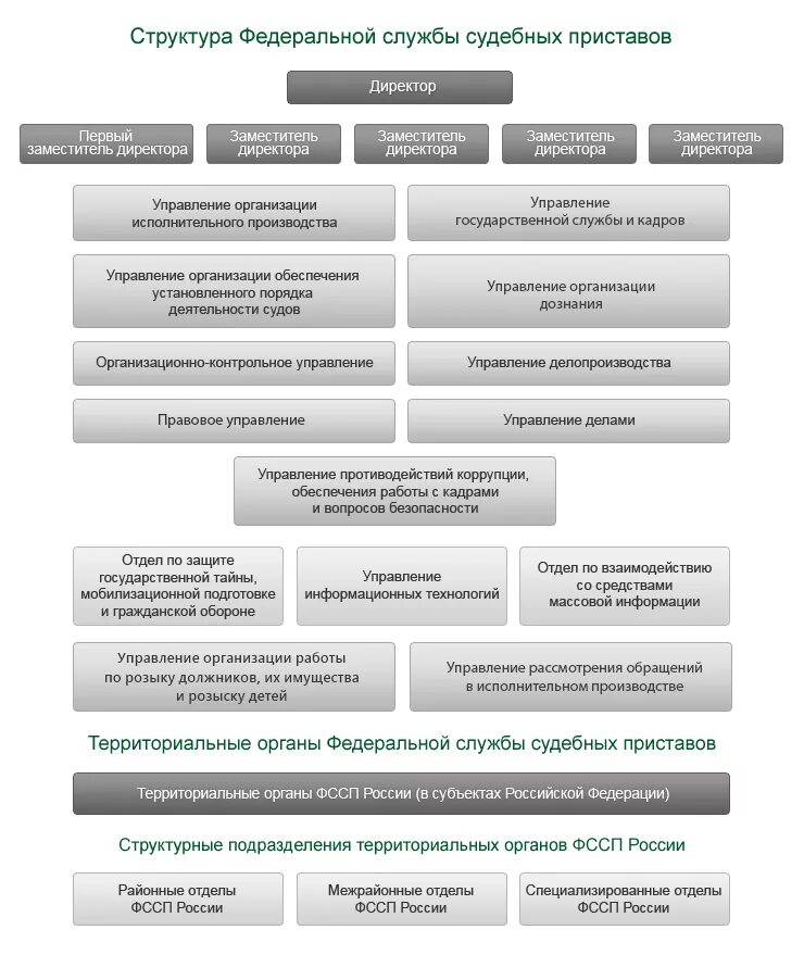 Органы принудительного производства. Структура отдела судебных приставов схема. Структура ФССП РФ схема. Структура органов ФССП РФ схема. Структура управления ФССП России.