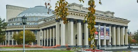Сайт новат новосибирск
