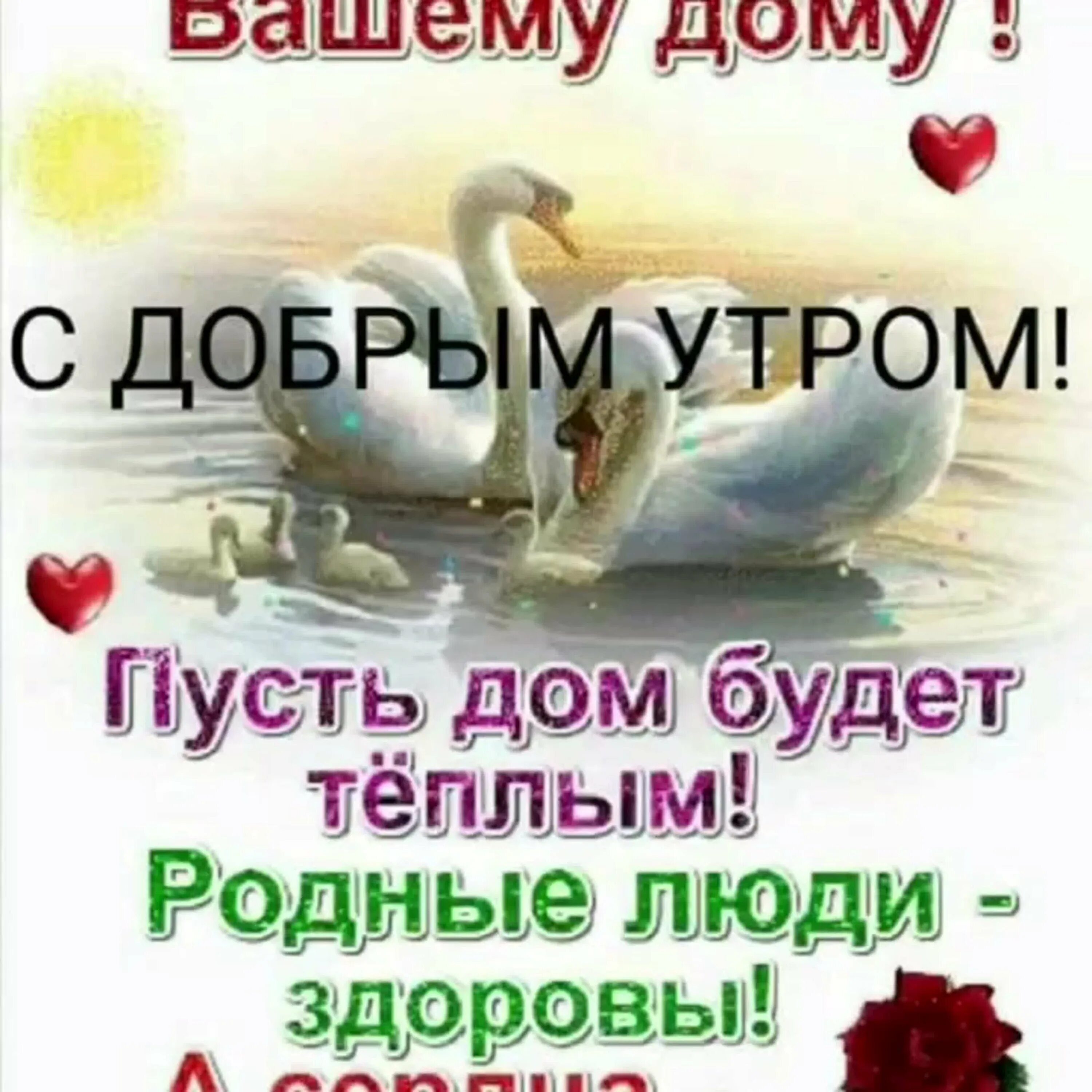 Доброе утро берегите всех. Доброе утро берегите всех