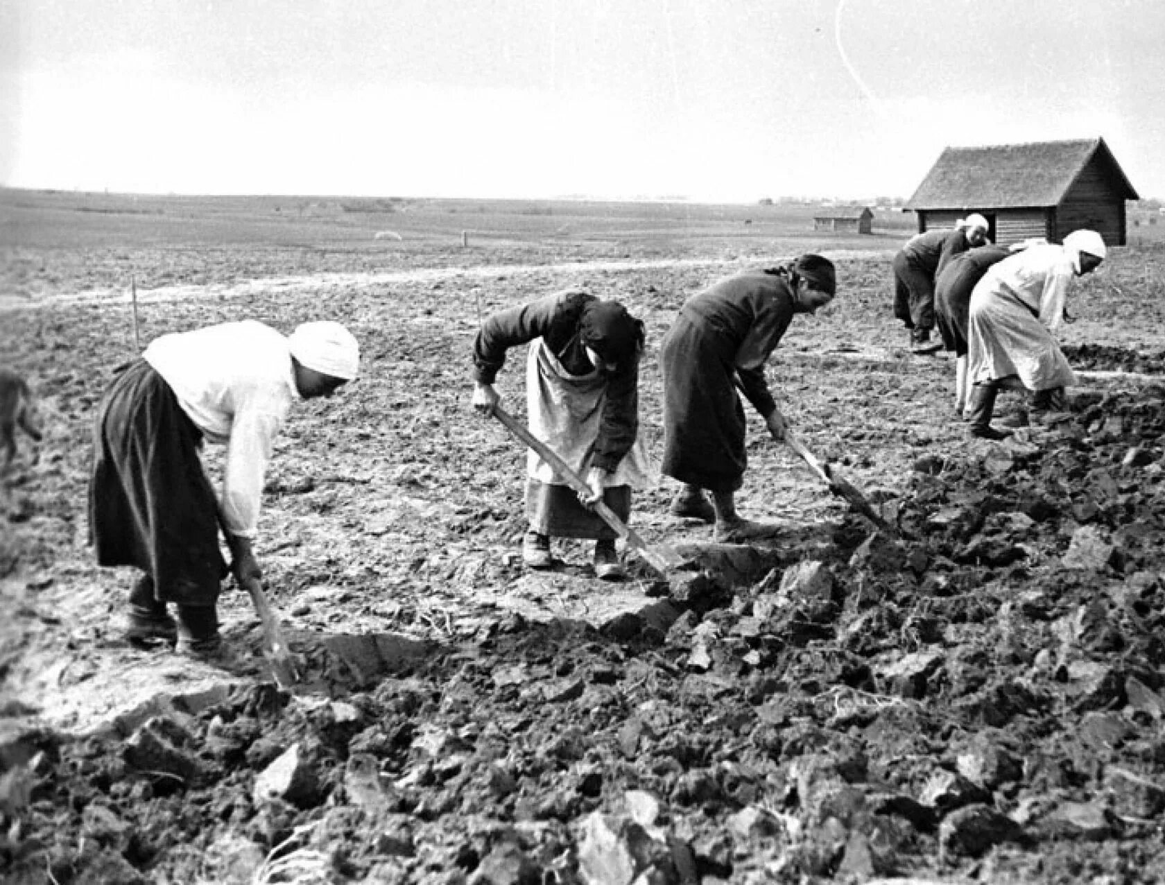 Колхозники в годы вов. Дети в колхозах в годы войны. Работа в поле год. Сельское хозяйство в годы войны 1941-1945. Сельское хозяйство в годы войны.
