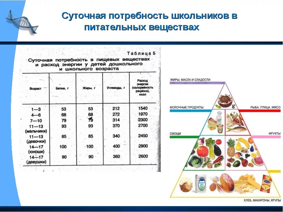 Назовите какие питательные