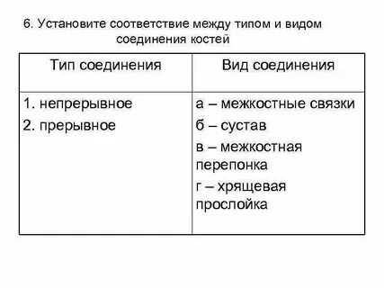 Соответствие между примером соединения костей