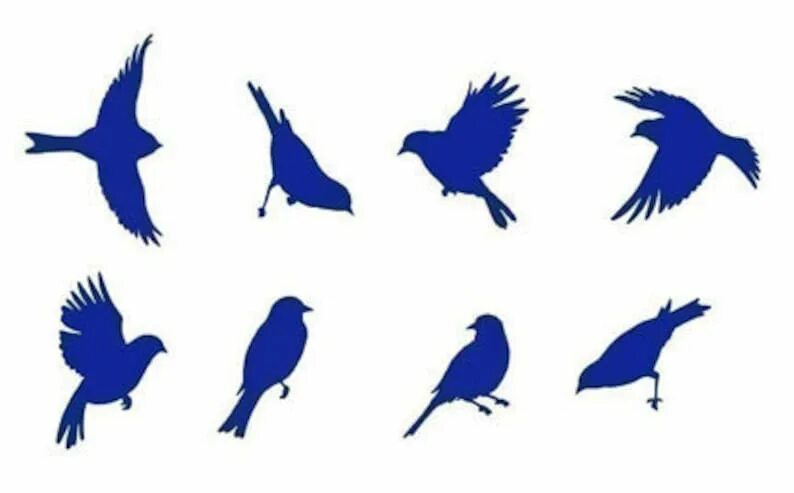 Bird shape