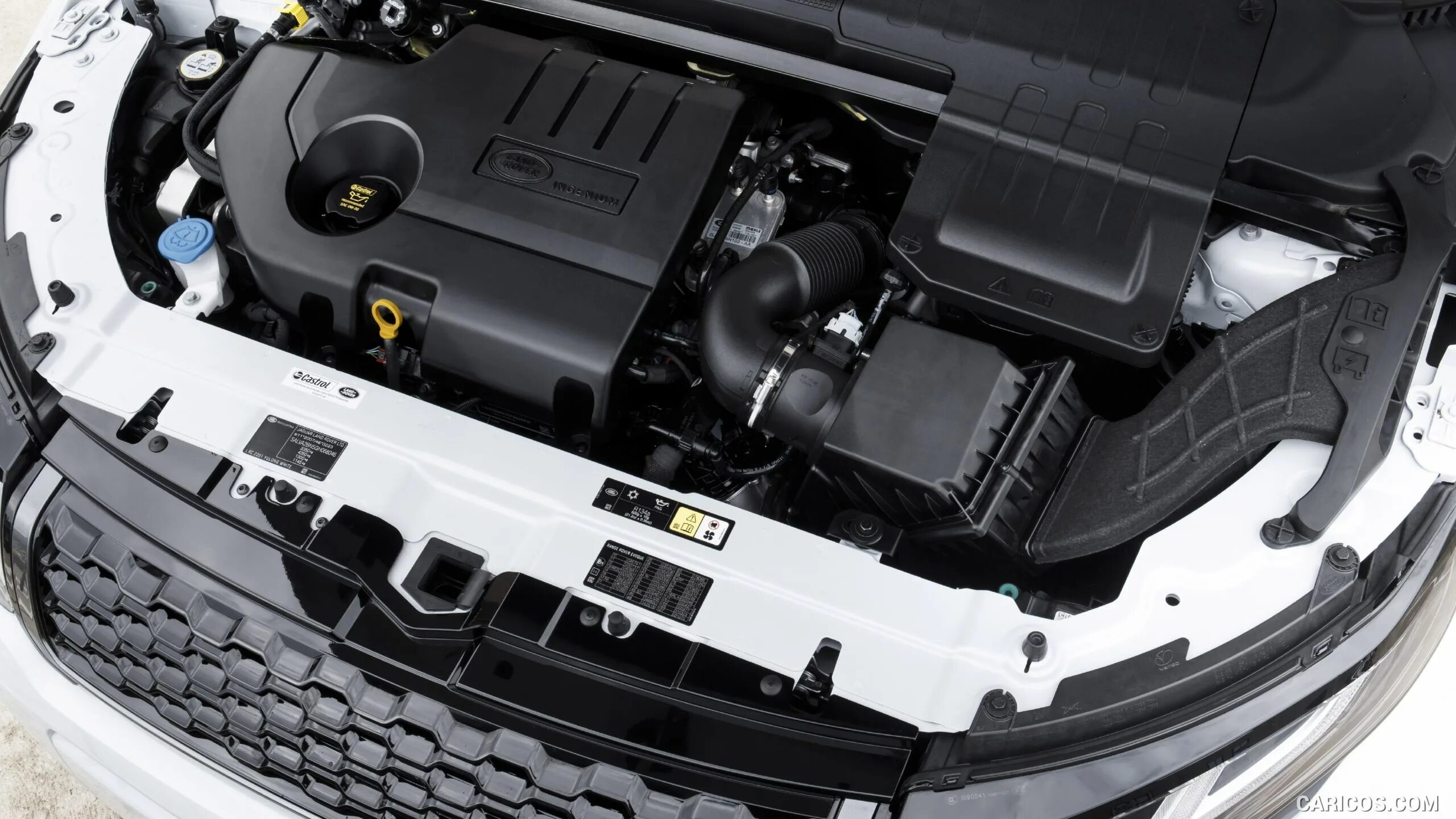 Масло эвок дизель. Land Rover range Rover Evoque 2016. Land Rover Evoque 2.2 дизель. Range Rover Evoque 2015 2.2 дизель под капотом. Land Rover Evoque 2013 мотор.