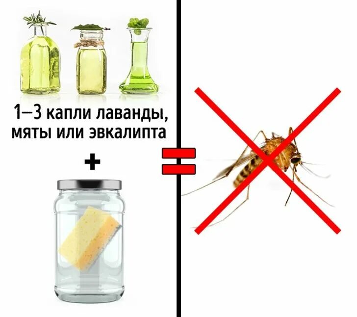 Как избавиться от комара ночью. Народные методы от комаров в квартире. от комаров в квартире. избавиться от комаров в квартире. как избавиться от комара в комнате.