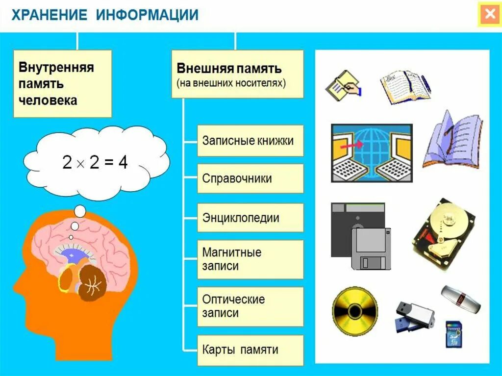 Картинки видов информации. Хранение информации. Хранение информации примеры. Внешняя память человека. Хранение информации это в информатике.