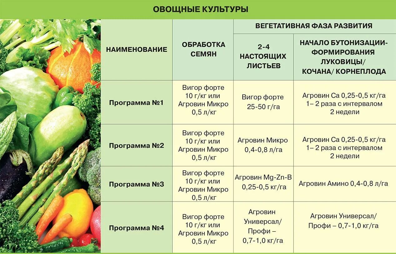 Какие фрукты относятся к овощам. Овощные культуры. Овощные культурные растения. Название овощных культур. Овощи открытого грунта.