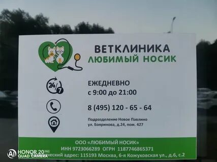 Любимый носик