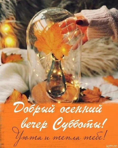 Доброго ноябрьского вечера и хорошего: найдено 83 изображений