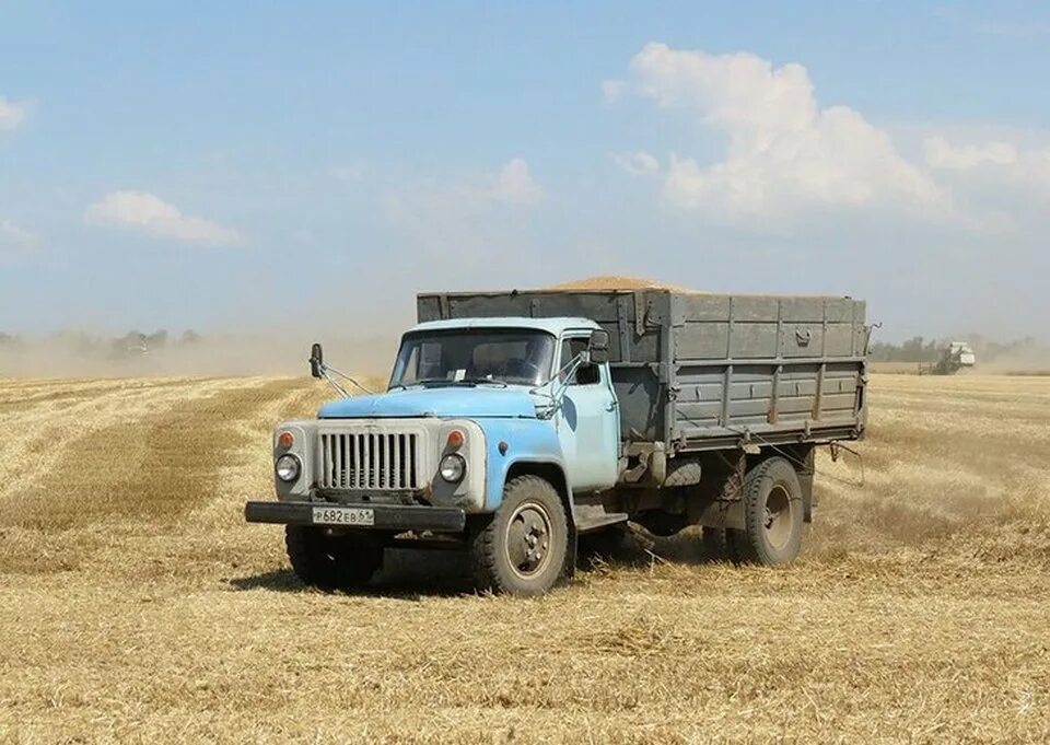 Газ 53 на уборке силоса. Камазы на уборке зерна. Грузовик газ 53. Зил 130 с зерном. Советский тракторист.
