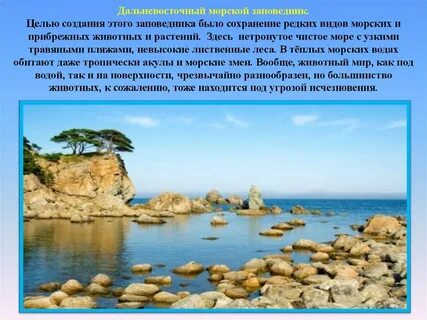 Сообщение о приморском