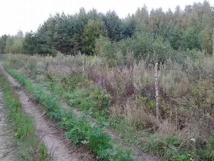 Участки ижс нижегородская