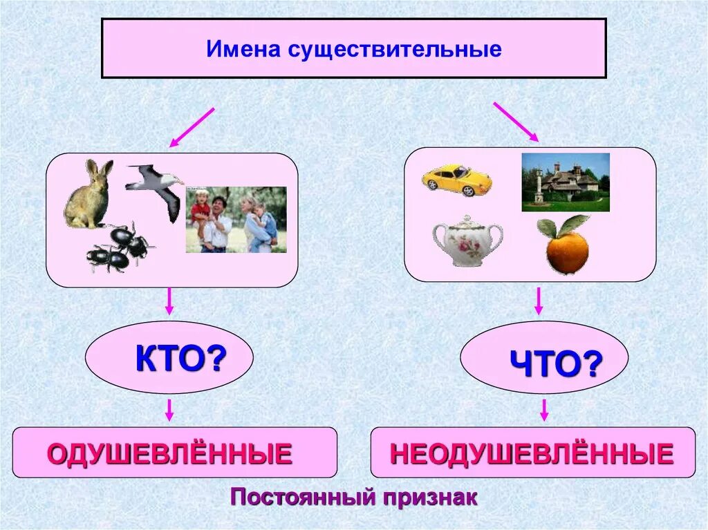 Обобщение имя существительное 5 класс презентация