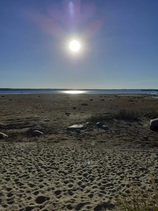 Море ушло из турции. Почему уходит море. Отлив мраморного моря. Девушка и океан. Сашок уходит в море просмотр книги.