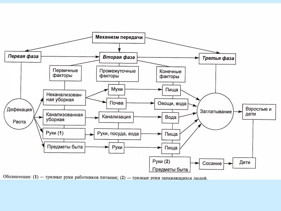 Заболевания через оральный. Фекально-оральные антропонозы. Схема фекально-орального механизма передачи. 1. Механизм передачи кишечных инфекций. Fekal oralniy mexanizm peredachi infekcii.