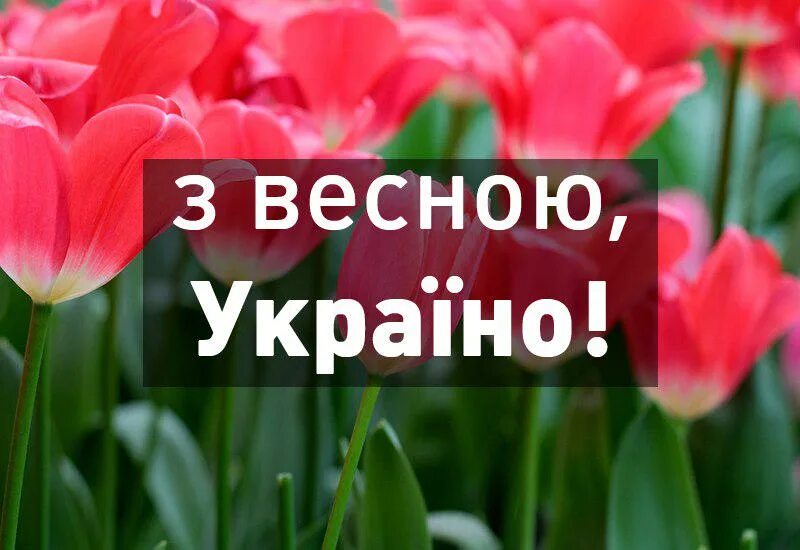 З весною картинки українською мовою. Листівки з першим днем весни. Поздравление с первым днем весны. З весною картинки українською мовою. Поздравление с весной.