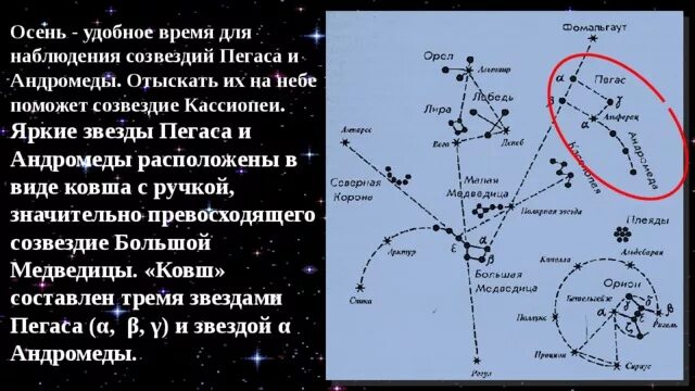 Осенние созвездия рассказы. Созвездия осеннего неба Пегас. Созвездие Пегас и Андромеда. Самая яркая звезда в созвездии Андромеда. Рассказ о созвездии осеннего неба Пегас.