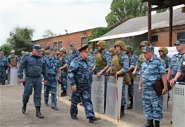 Заложники гуфсин