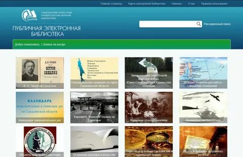 Публичная электронная
