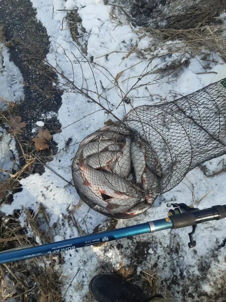 Рыбалка калининград вконтакте. Кого можно половить в Калининграде в феврале.