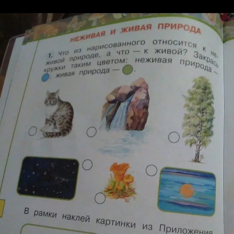 Мир животных окружающий мир 3 класс рабочая тетрадь. Вырежи из приложения рисунки объектов природы. Нити невидимые пищевая цепочка. Живая и не неживая природа. Мир животных окружающий мир 3 класс рабочая тетрадь.